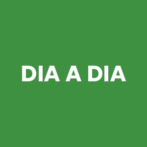 Pratos Dia a Dia